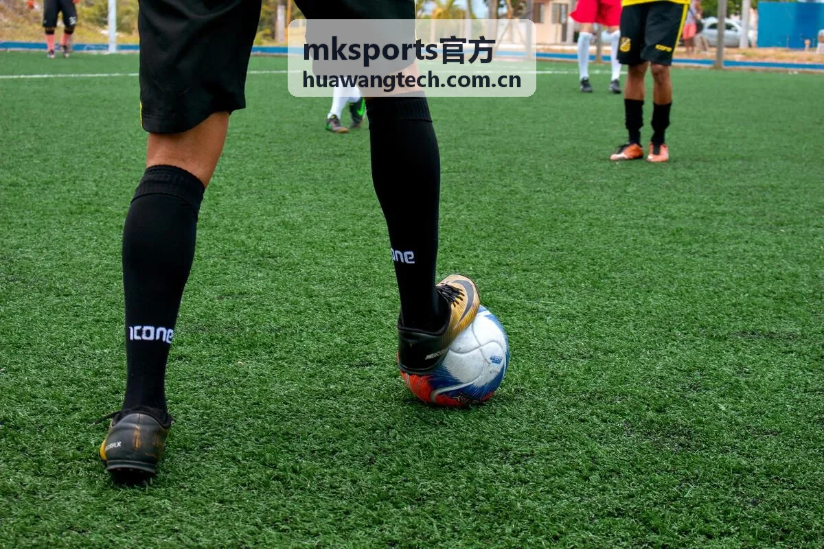 mksports官方 健康数据看板功能